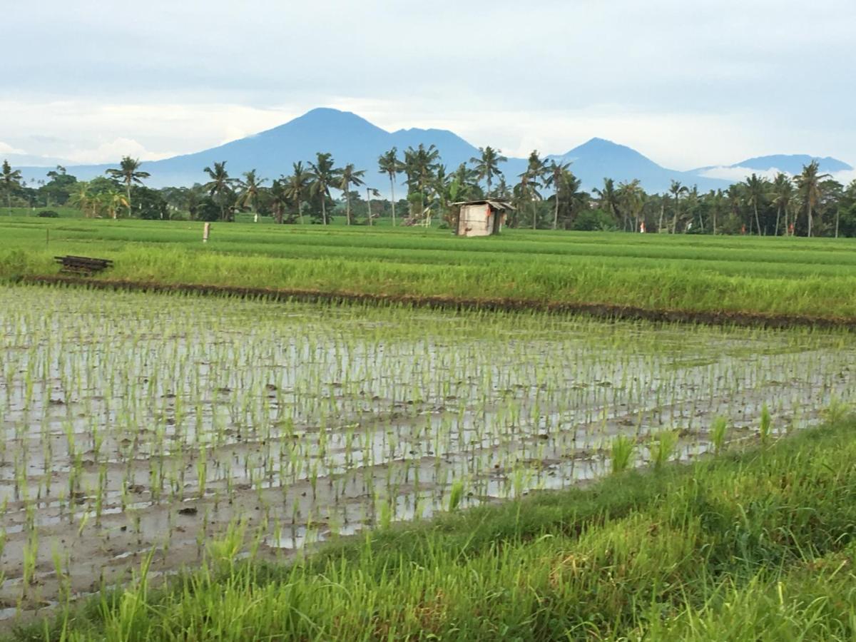 Bali Harmony Retreat Aparthotel Canggu Екстериор снимка