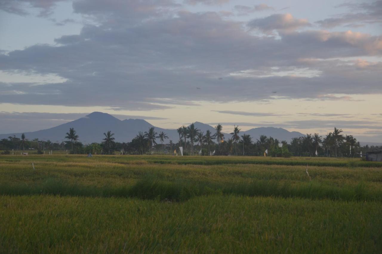 Bali Harmony Retreat Aparthotel Canggu Екстериор снимка